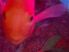-洛阳龙门海洋馆