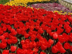 -玄武湖景区-情侣园游乐场