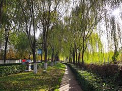 -西安汉城湖景区