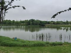 -贡湖湾湿地公园