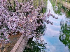 -元大都城垣遗址公园