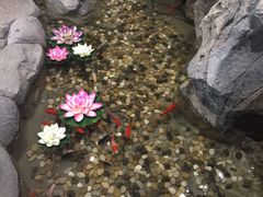 -长春宾馆·丽豪浴都
