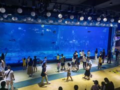 -烟台海昌鲸鲨海洋公园