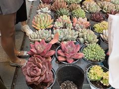 -瑞虹新天地月亮湾
