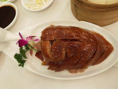 -九花山烤鸭店