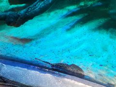 -沈阳海洋探索中心