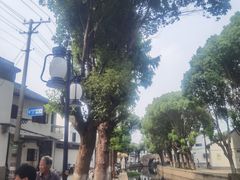 -练塘古镇