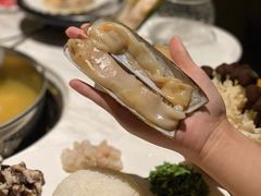 -汤城·料青山