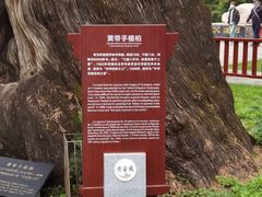 -黄帝陵