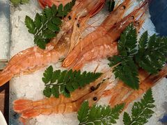 -Mr.Fish鱼鲜生海鲜放题(高德置地冬广场店)