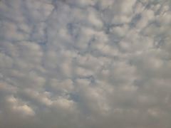 -郑州市第十一中学