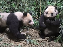 -昆明动物博物馆