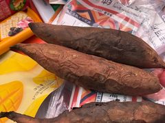 -西部长青自然儿童乐园