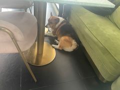 -简象咖啡CAFE ELE JANE(满陇桂雨店)