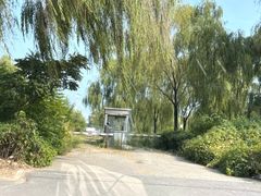 -丁香湖公园