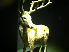 溱湖国家湿地公园-溱湖国家湿地公园