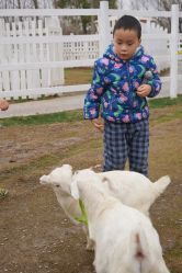 -前小桔亲子创意农场·草莓采摘·露营烧烤