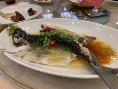 -金城大酒店-中餐厅(汾江中路店)