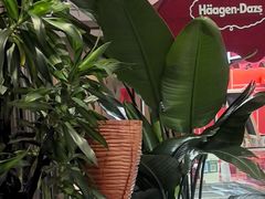 -杭州君悦酒店·青莳