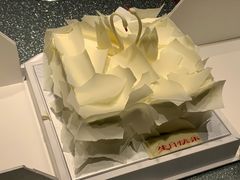 -BLACKSWAN黑天鹅(环球店)