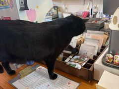 -春风十里咖啡馆