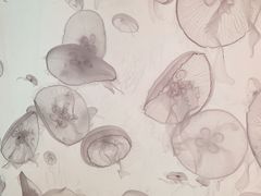 -沈阳海洋探索中心