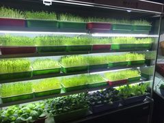 -番食园鲜食火锅(高新店)