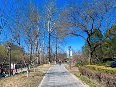 -元大都城垣遗址公园