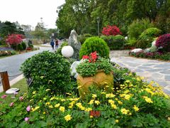-东莞植物园