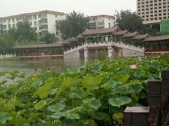 -西海子公园