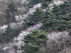 -香山公园