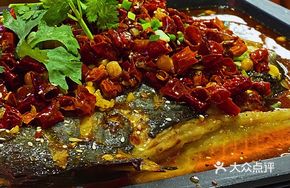 Spicy Sichuan River Catfish
