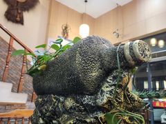 -黑土人家(江桥万达广场店)