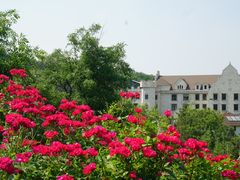 -崂山仰口游览区
