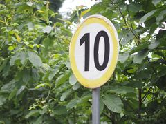 -武陵山森林公园