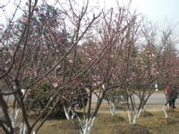 -白塘生态植物园