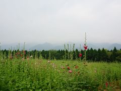 -秦始皇帝陵博物院-丽山园