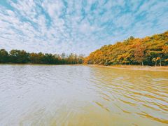 -上海海湾国家森林公园