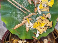 -大理董·董家小厨野生菌火锅(古城旗舰店)