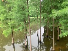 -畔山酒店中餐厅