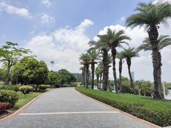 -厦门园林博览苑