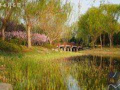 -北坞公园