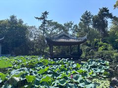 -无锡蠡湖国家湿地公园-蠡园