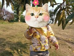 -枫香湖儿童公园