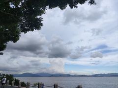 -深圳湾公园(南山区)