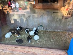 -长鹿旅游休博园