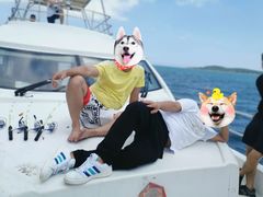 -西涌国际滨海旅游区