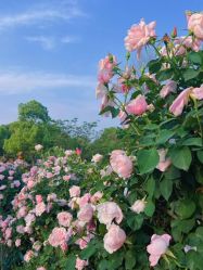 -新晨·SALON·形象造型