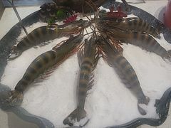 -真味海鲜坊