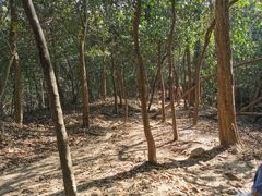 -紫金山山顶公园